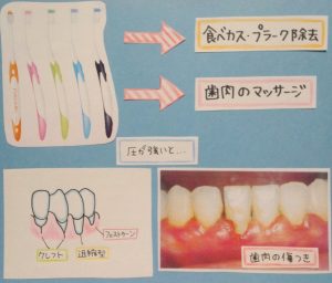 『豆知識』歯ブラシについて