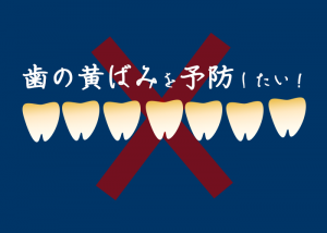 歯の黄ばみを予防したい！柏市の歯科医師が対策方法をご紹介します！　