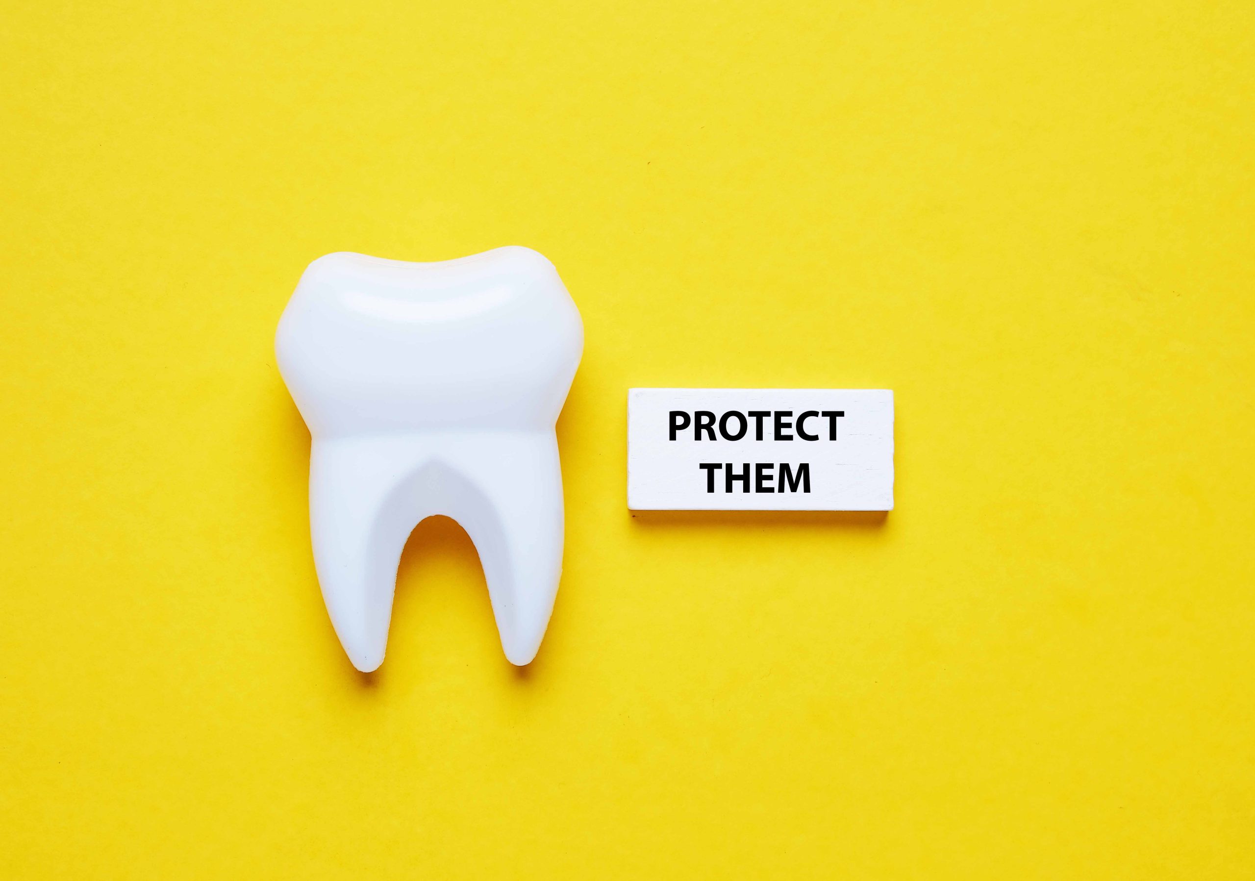 黄色い背景の前に1本の歯の模型と「PROTECT THEM」と書かれたプレートが置かれている