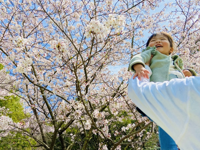 成長の春にむけて！乳歯から永久歯へのスムーズな生え変わりをするには？